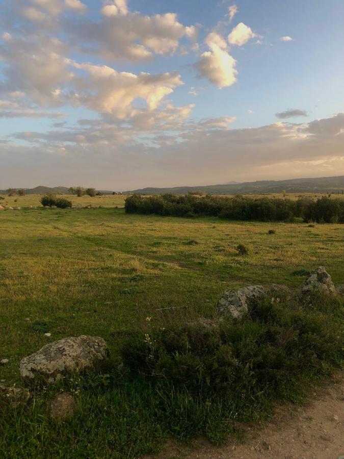 El Lago Cervera de Buitrago Bagian luar foto